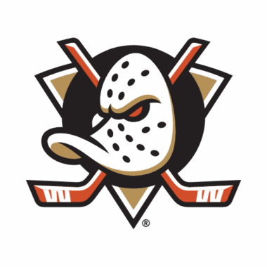 Anaheim Ducks Sneakers