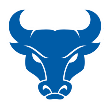 Buffalo Bulls Sneakers