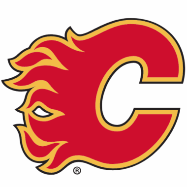 Calgary Flames Sneakers