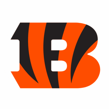 Cincinnati Bengals Sneakers