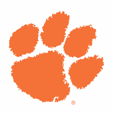 Clemson Tigers Sneakers