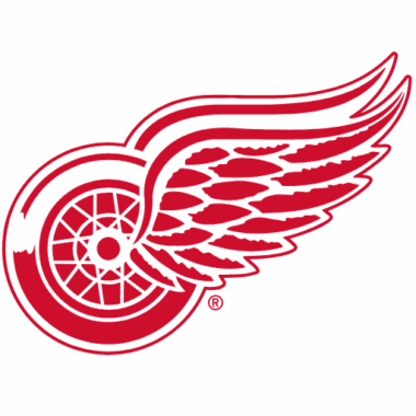 Detroit Red Wings Sneakers