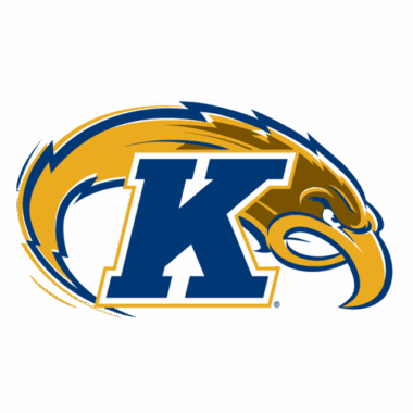 Kent State Golden Flashes Sneakers