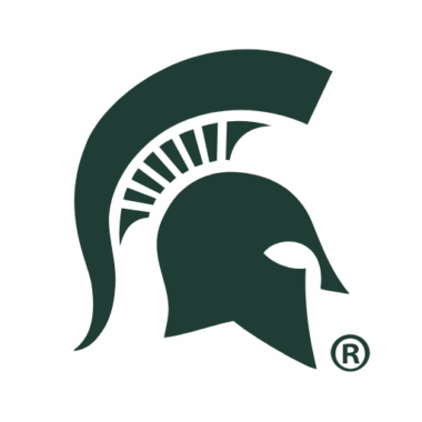 Michigan State Spartans Sneakers