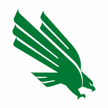 North Texas Mean Green Sneakers