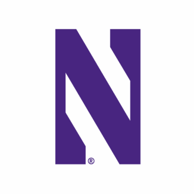 Northwestern Wildcats Sneakers