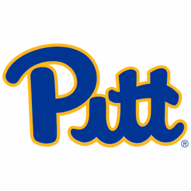 Pittsburgh Panthers Sneakers