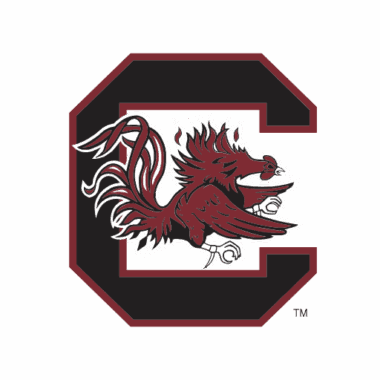 South Carolina Gamecocks Sneakers